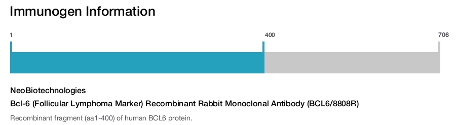 Bcl-6 (Follicular Lymphoma Marker) Recombinant Rabbit Monoclonal Antibody (BCL6/8808R)