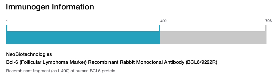 Bcl-6 (Follicular Lymphoma Marker) Recombinant Rabbit Monoclonal Antibody (BCL6/9222R)