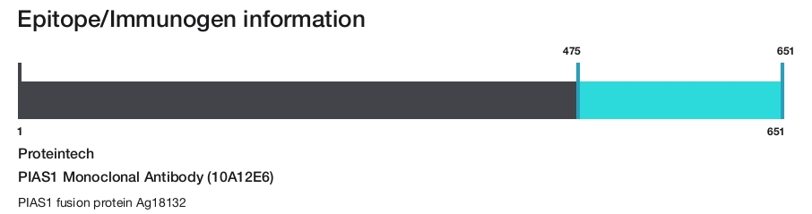 PIAS1 Monoclonal Antibody (10A12E6)