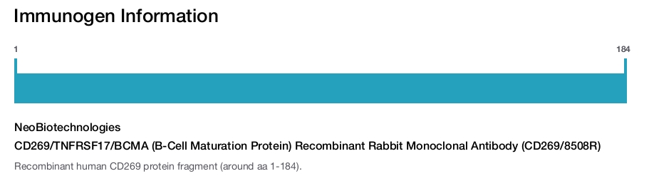 CD269/TNFRSF17/BCMA (B-Cell Maturation Protein) Recombinant Rabbit Monoclonal Antibody (CD269/8508R)