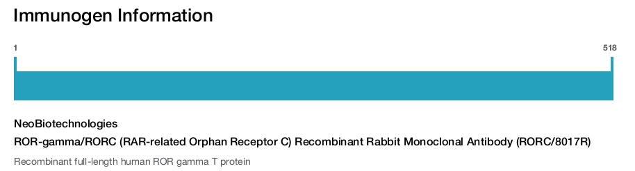 ROR-gamma/RORC (RAR-related Orphan Receptor C) Recombinant Rabbit Monoclonal Antibody (RORC/8017R)