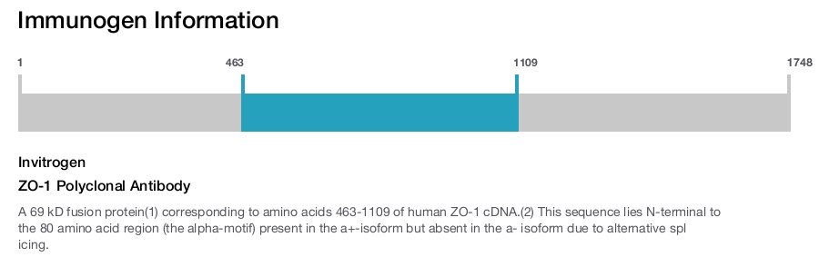 ZO-1 Polyclonal Antibody
