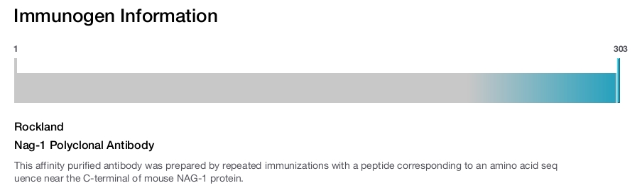 Nag-1 Polyclonal Antibody