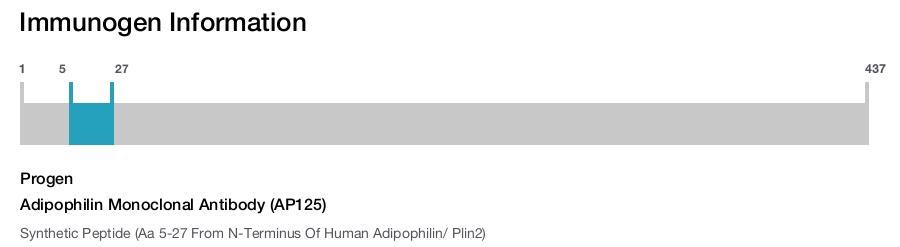 Adipophilin Monoclonal Antibody (AP125)