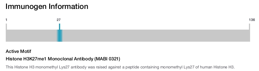Histone H3K27me1 Monoclonal Antibody (MABI 0321)