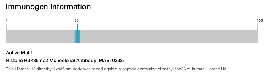Histone H3K36me2 Monoclonal Antibody (MABI 0332)