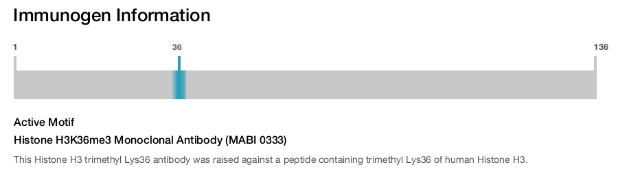 Histone H3K36me3 Monoclonal Antibody (MABI 0333)