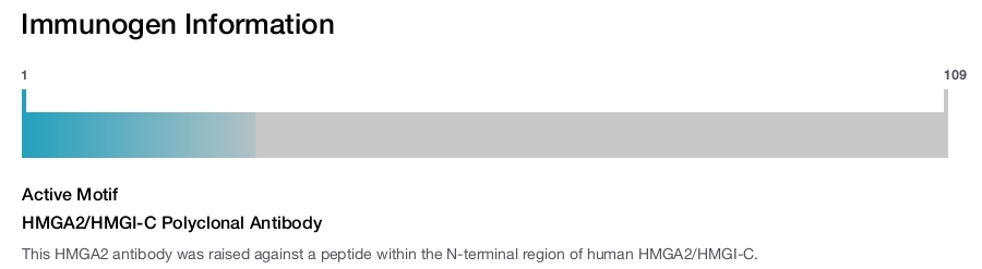 HMGA2/HMGI-C Polyclonal Antibody