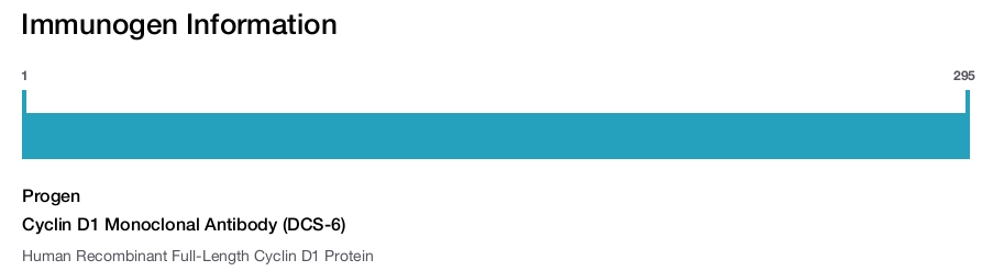 Cyclin D1 Monoclonal Antibody (DCS-6)