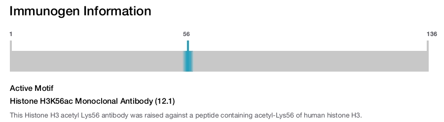Histone H3K56ac Monoclonal Antibody (12.1)