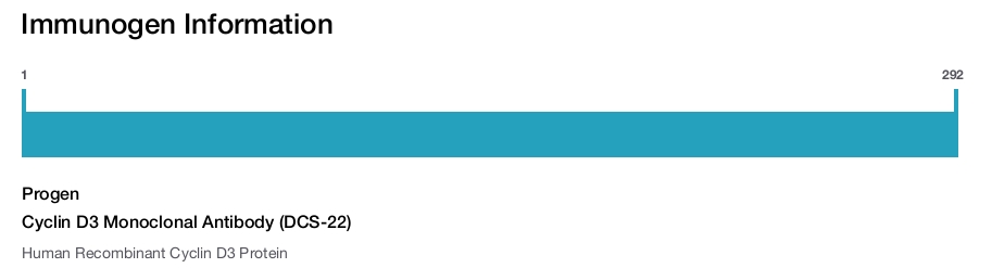 Cyclin D3 Monoclonal Antibody (DCS-22)