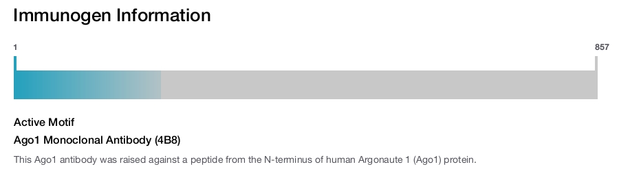 Ago1 Monoclonal Antibody (4B8)