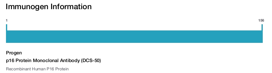 p16 Protein Monoclonal Antibody (DCS-50)