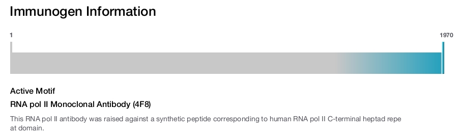 RNA pol II Monoclonal Antibody (4F8)