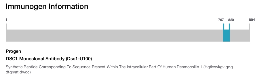 DSC1 Monoclonal Antibody (Dsc1-U100)