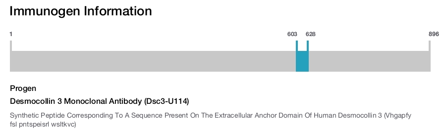 Desmocollin 3 Monoclonal Antibody (Dsc3-U114)