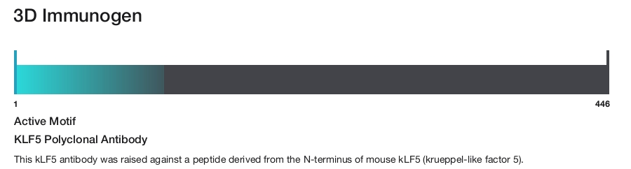 KLF5 Polyclonal Antibody