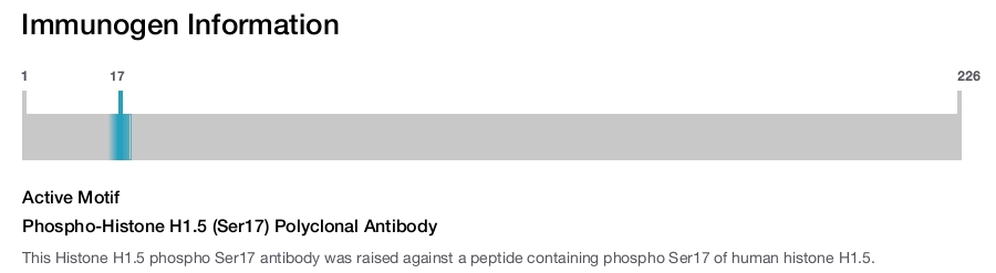 Phospho-Histone H1.5 (Ser17) Polyclonal Antibody