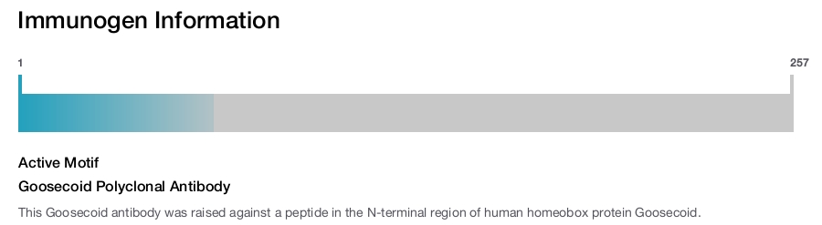 Goosecoid Polyclonal Antibody