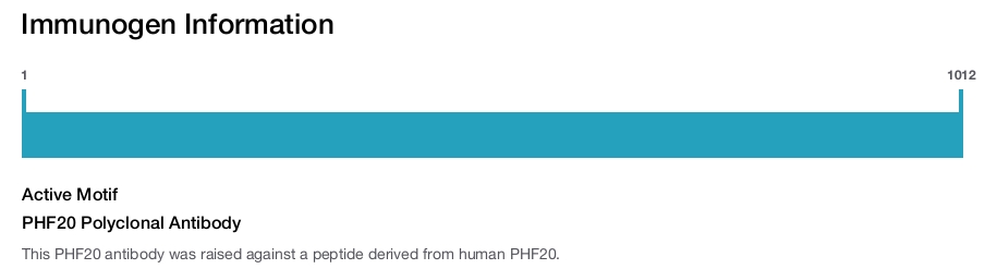 PHF20 Polyclonal Antibody