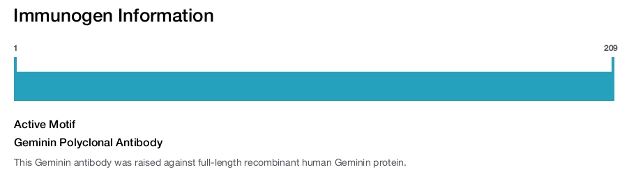 Geminin Polyclonal Antibody