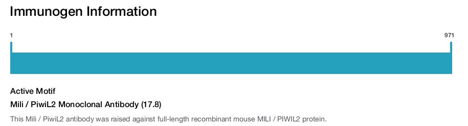 Mili / PiwiL2 Monoclonal Antibody (17.8)