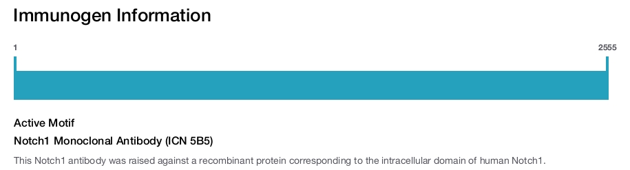Notch1 Monoclonal Antibody (ICN 5B5)