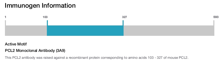 PCL2 Monoclonal Antibody (3A9)