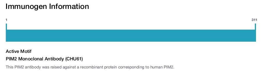 PIM2 Monoclonal Antibody (CHU61)