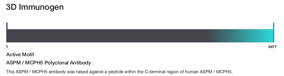 ASPM / MCPH5 Polyclonal Antibody