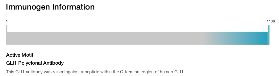 GLI1 Polyclonal Antibody