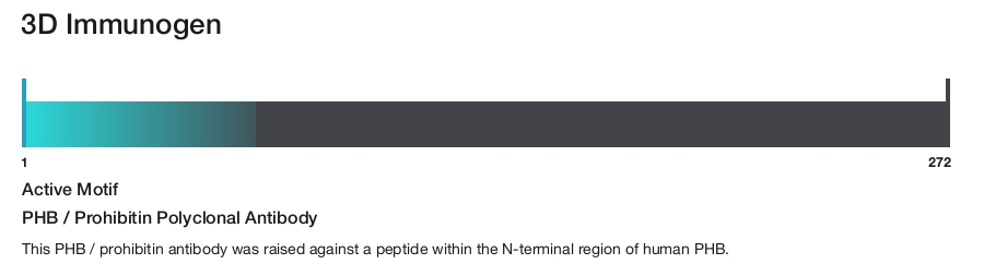 PHB / Prohibitin Polyclonal Antibody