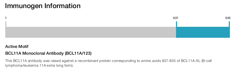 BCL11A Monoclonal Antibody (BCL11A/123)