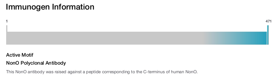 NonO Polyclonal Antibody