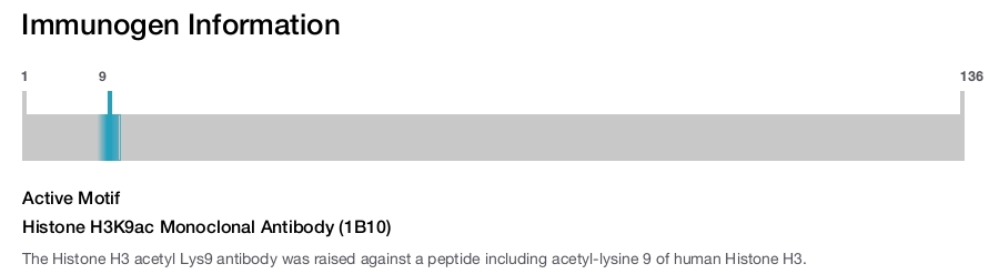 Histone H3K9ac Monoclonal Antibody (1B10)