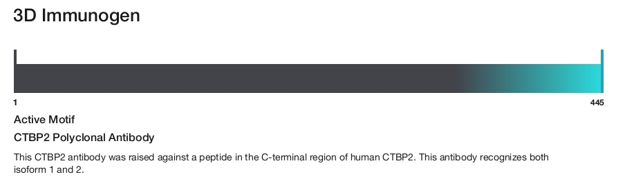 CTBP2 Polyclonal Antibody