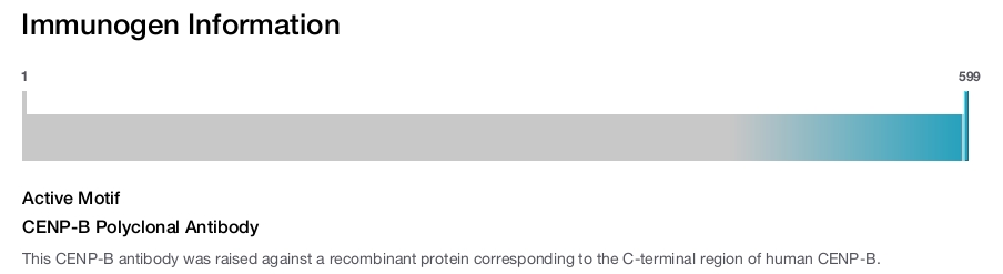 CENP-B Polyclonal Antibody
