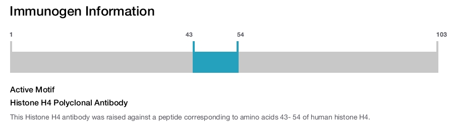 Histone H4 Polyclonal Antibody
