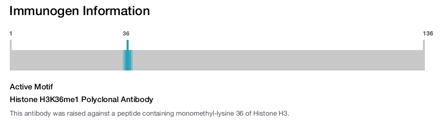 Histone H3K36me1 Polyclonal Antibody