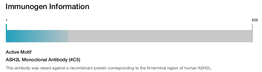 ASH2L Monoclonal Antibody (4C5)