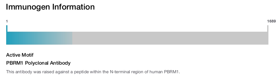 PBRM1 Polyclonal Antibody
