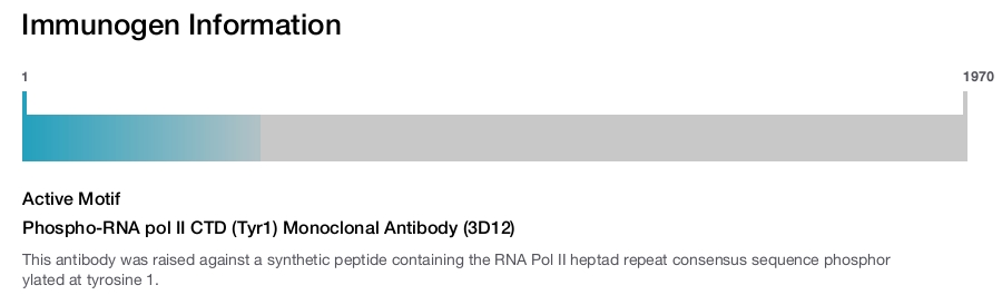 Phospho-RNA pol II CTD (Tyr1) Monoclonal Antibody (3D12)