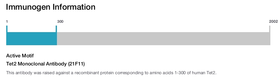 Tet2 Monoclonal Antibody (21F11)