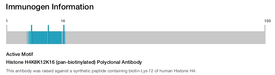Histone H4K8K12K16 (pan-biotinylated) Polyclonal Antibody