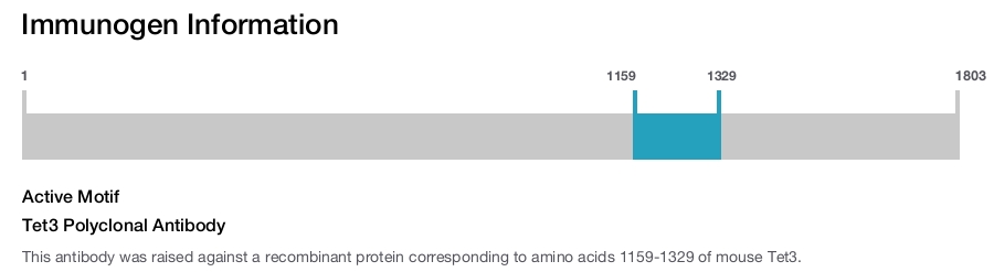 Tet3 Polyclonal Antibody