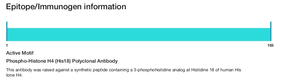 Phospho-Histone H4 (His18) Polyclonal Antibody