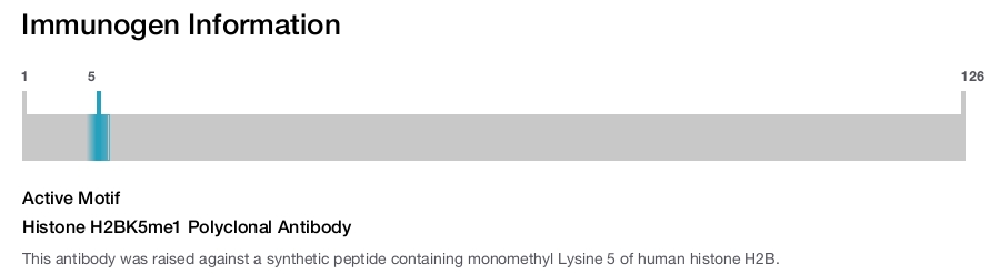 Histone H2BK5me1 Polyclonal Antibody