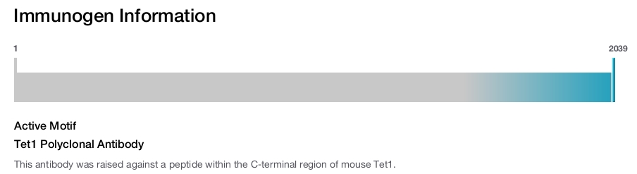Tet1 Polyclonal Antibody