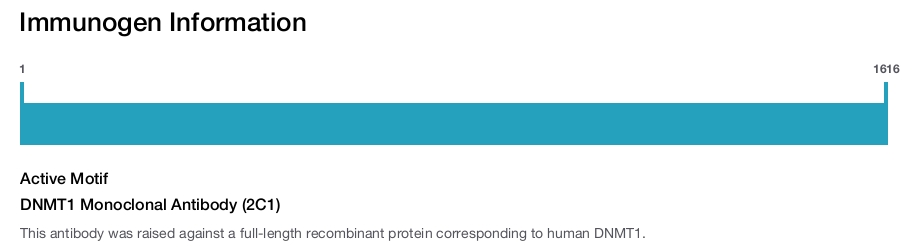 DNMT1 Monoclonal Antibody (2C1)