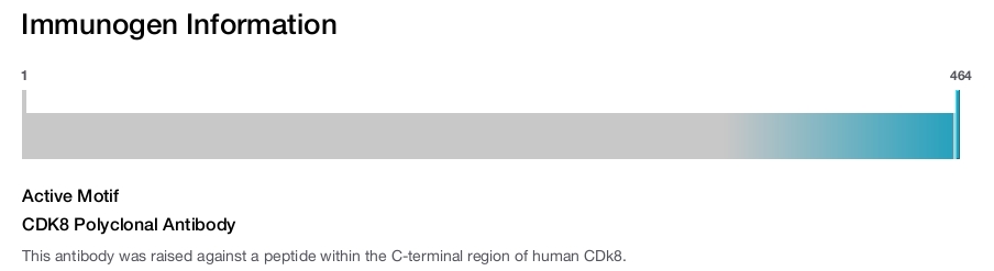 CDK8 Polyclonal Antibody